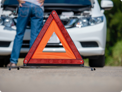 bez nazwy (500 x 700 px) (5)